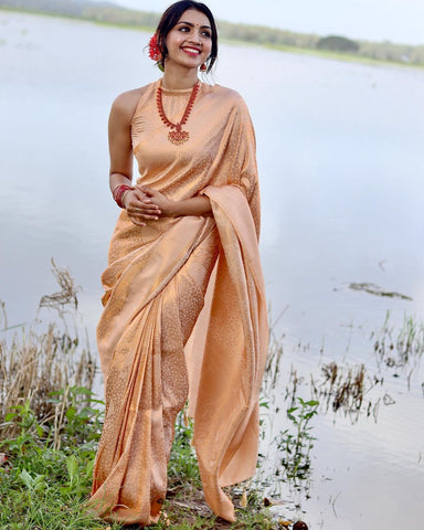 Handloom Weave Saree with Earthy Tones