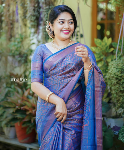 Handloom Weaved Traditional Saree with Stripes